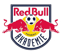 Red Bull Akademie